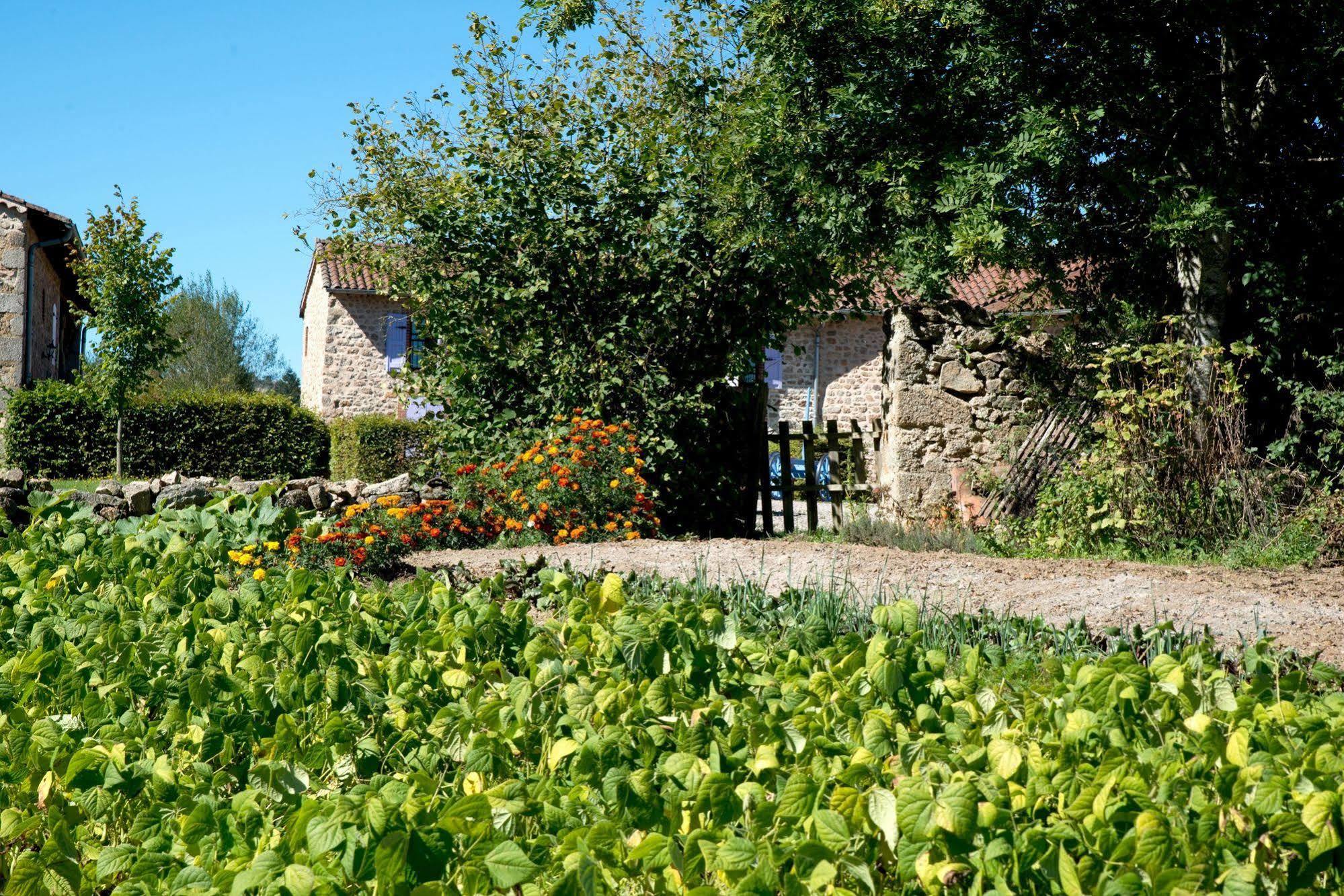 Domaine De La Plagnette 3*