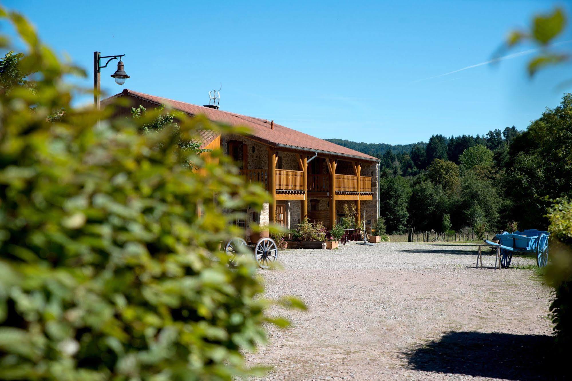 Hotel Domaine De La Plagnette *** 3*