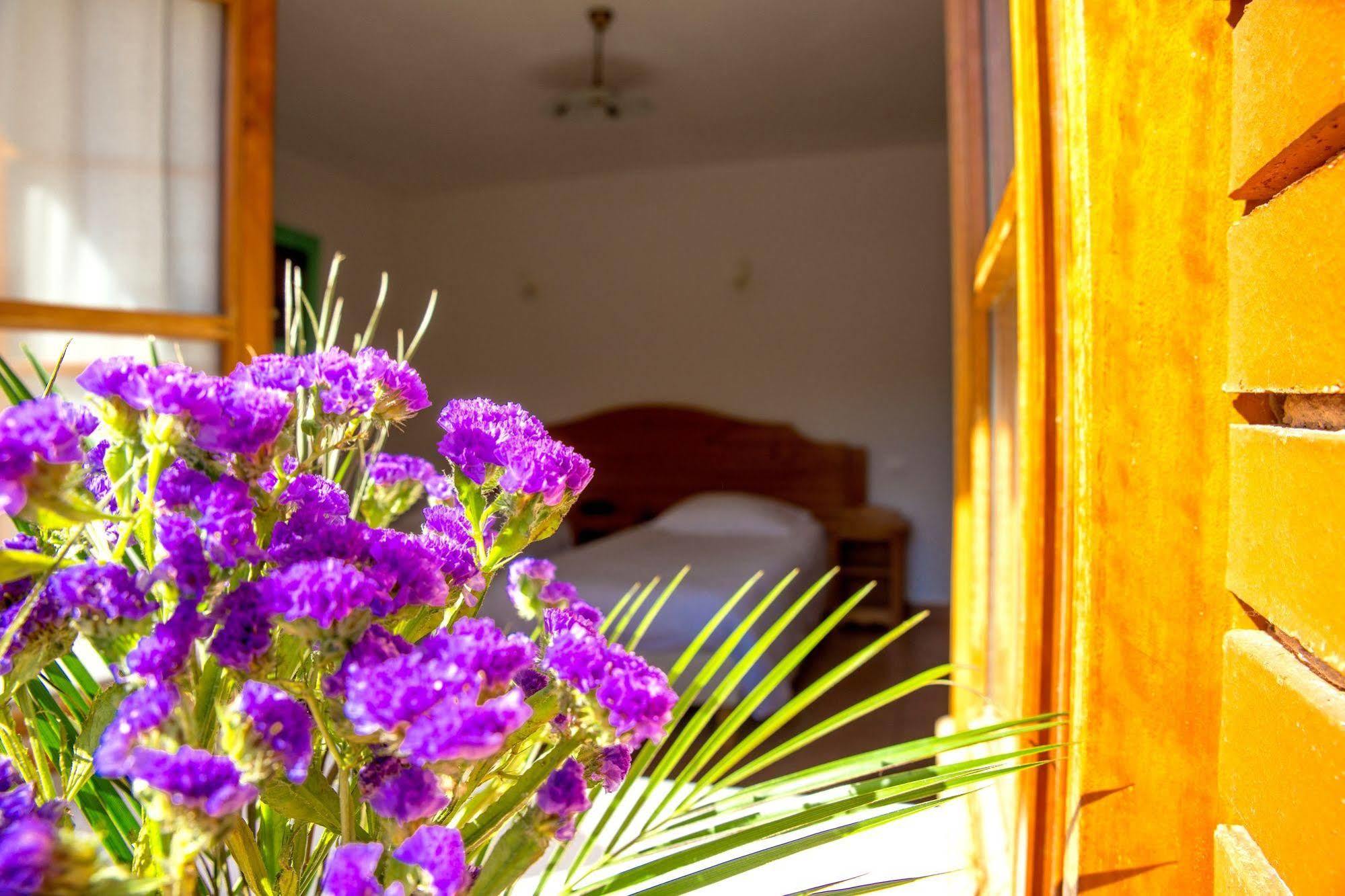 Domaine De La Plagnette *** Hotel 3*